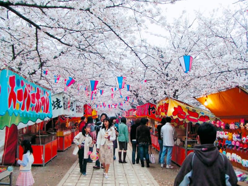 諏訪の桜トンネル_豊川市