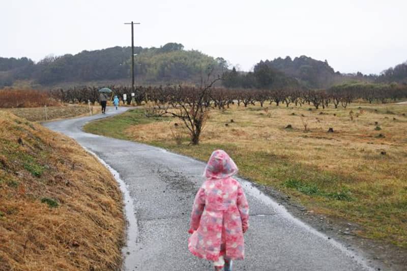 国史跡・馬越長火塚古墳群