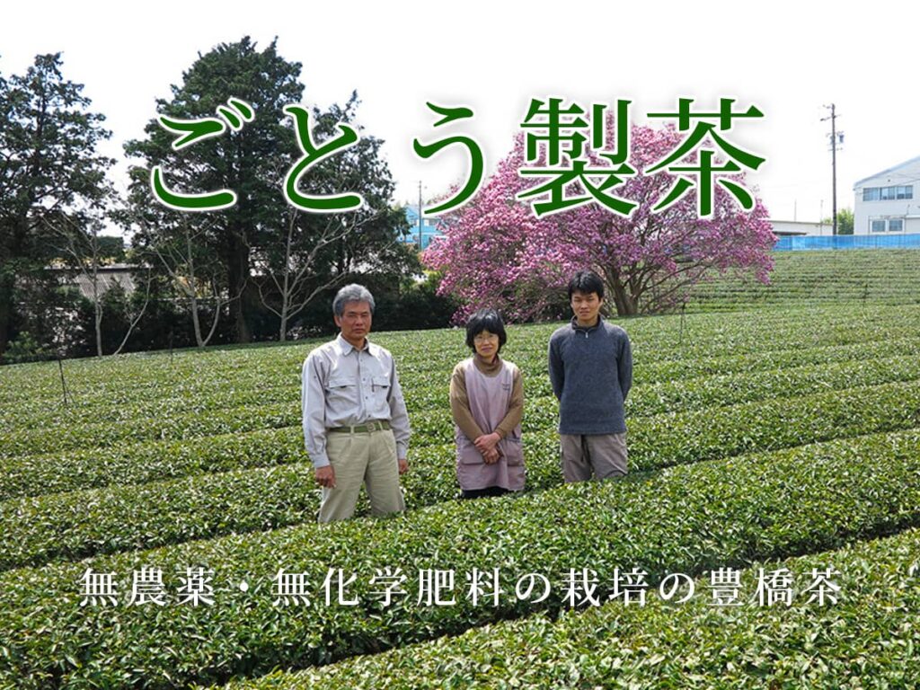 ごとう製茶_生産者インタビュー