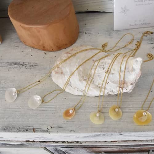 幸せを呼ぶ貝「ナミマガシワ」の貝殻アーティスト