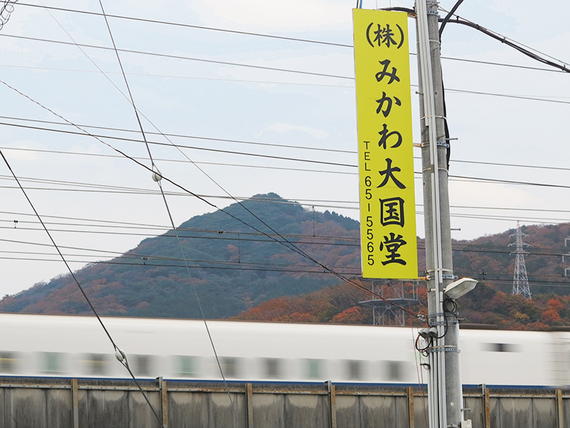 みかわ大国堂_看板