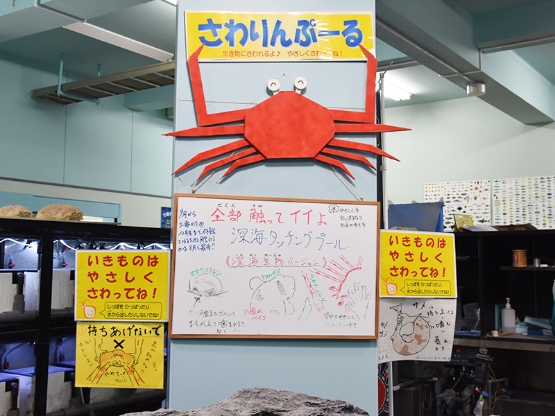 竹島水族館_深海生物