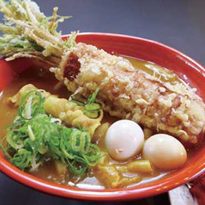 道の駅とよはし_豊橋カレーうどん