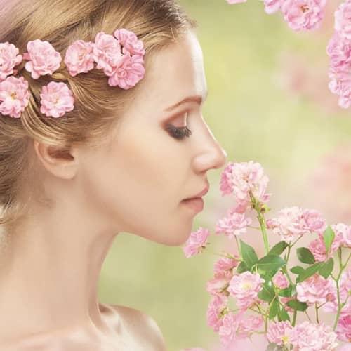 人と花を繋ぐHANAイノベーション(株)