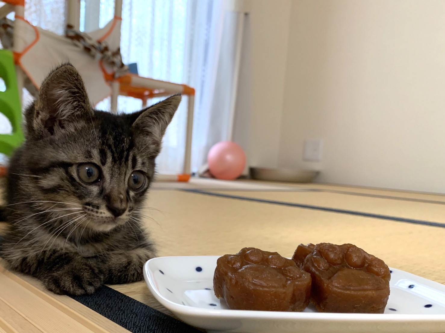 肉球型の干し芋