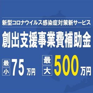 創出支援事業費補助金