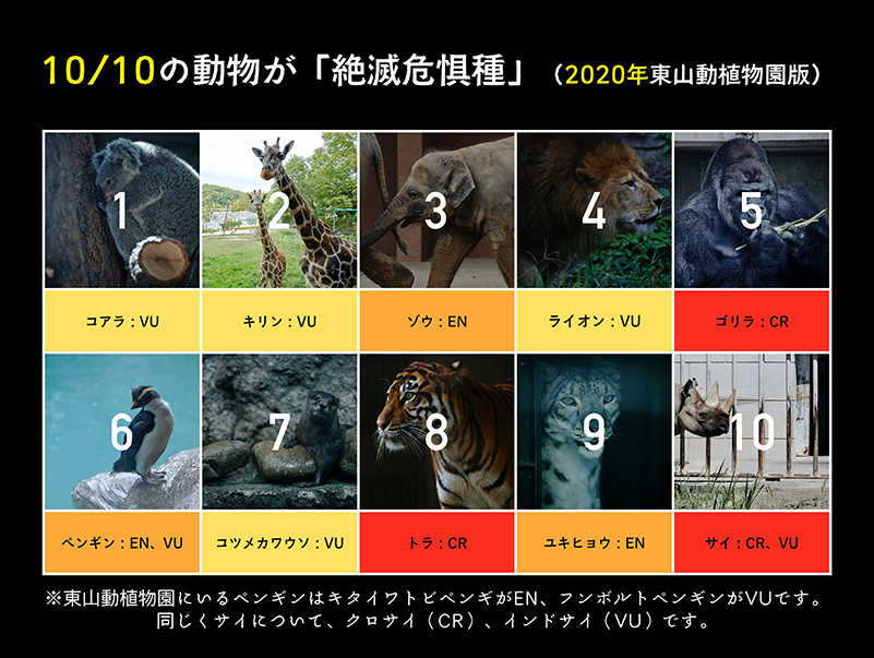 絶滅危惧種の動物