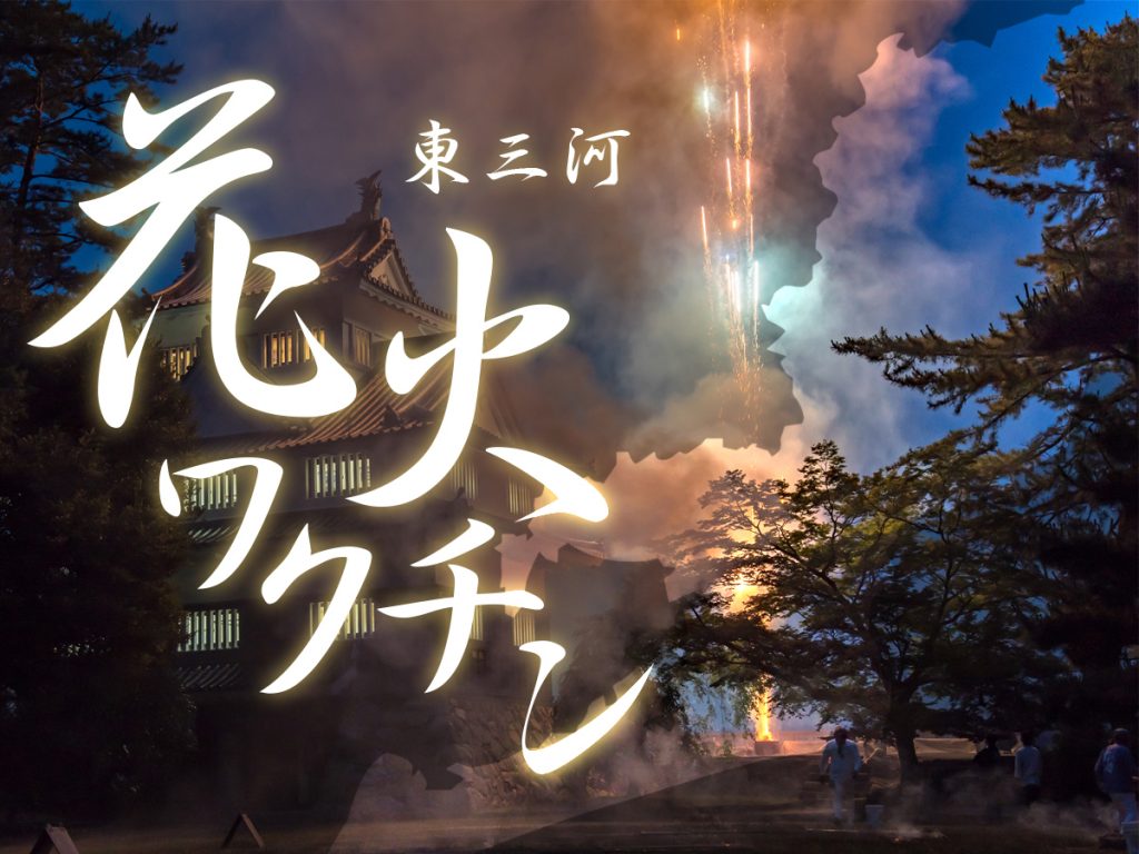 東三河_花火ワクチン