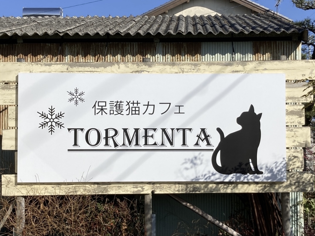 保護猫カフェTORMENTA_トルメンタ