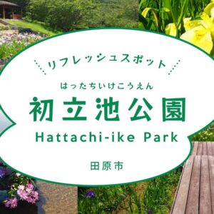 初立池公園_田原市