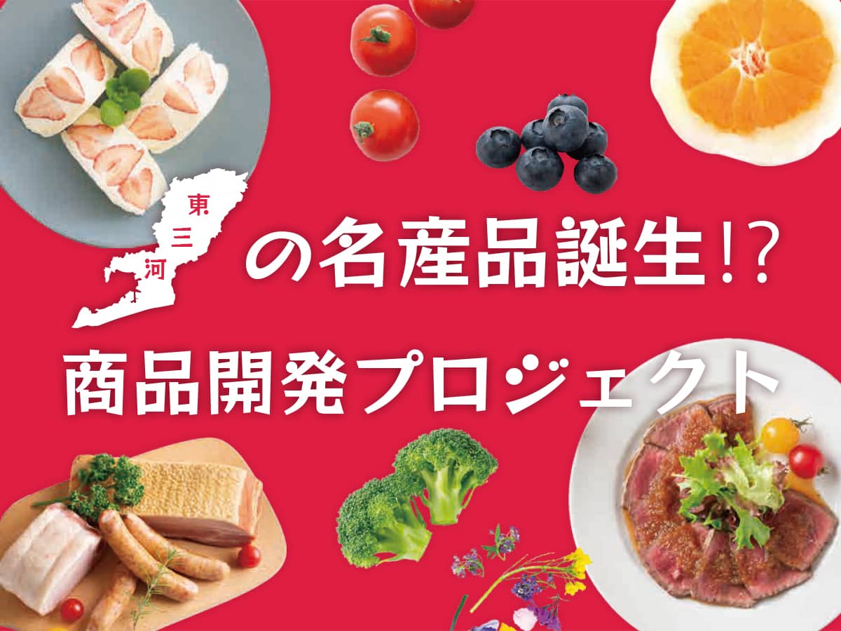 東三河_商品開発プロジェクト