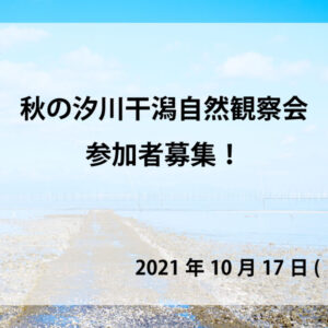 秋の干潟自然観察会