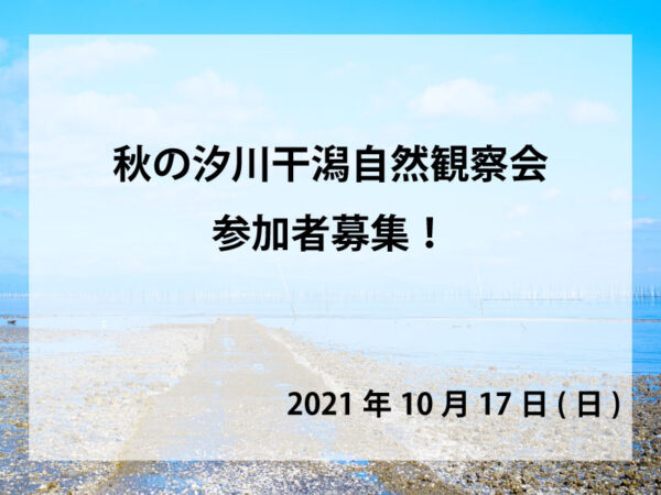 秋の干潟自然観察会