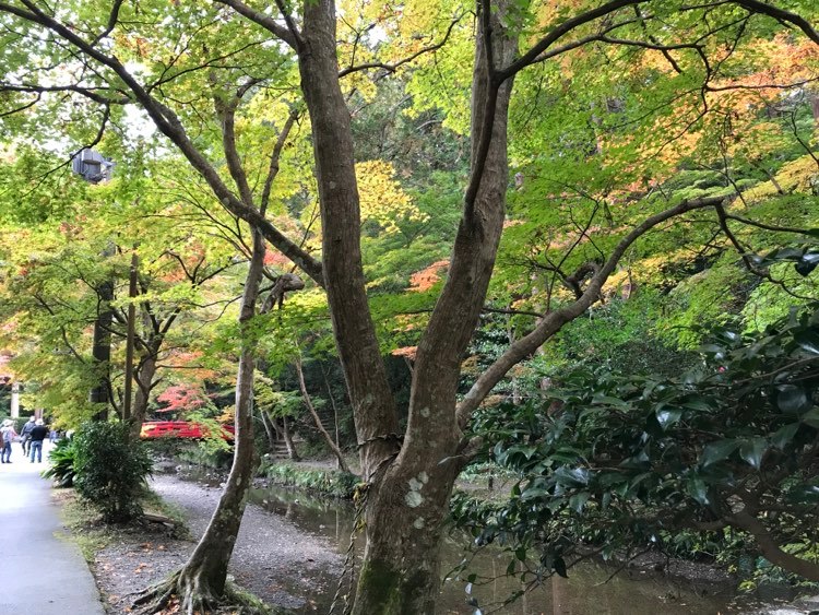 静岡森町