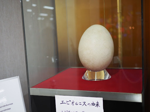 竹島ファンタジー館_展示室3