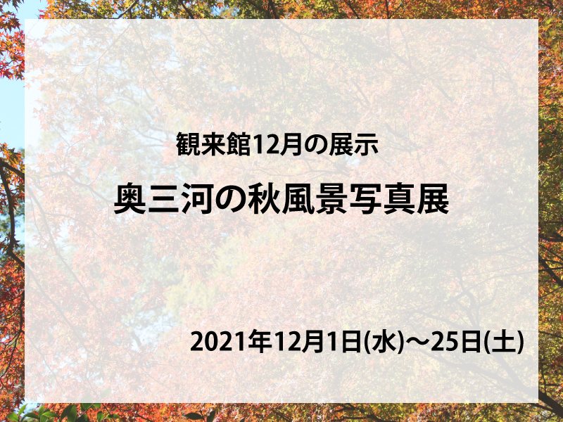 みにこんかん12月