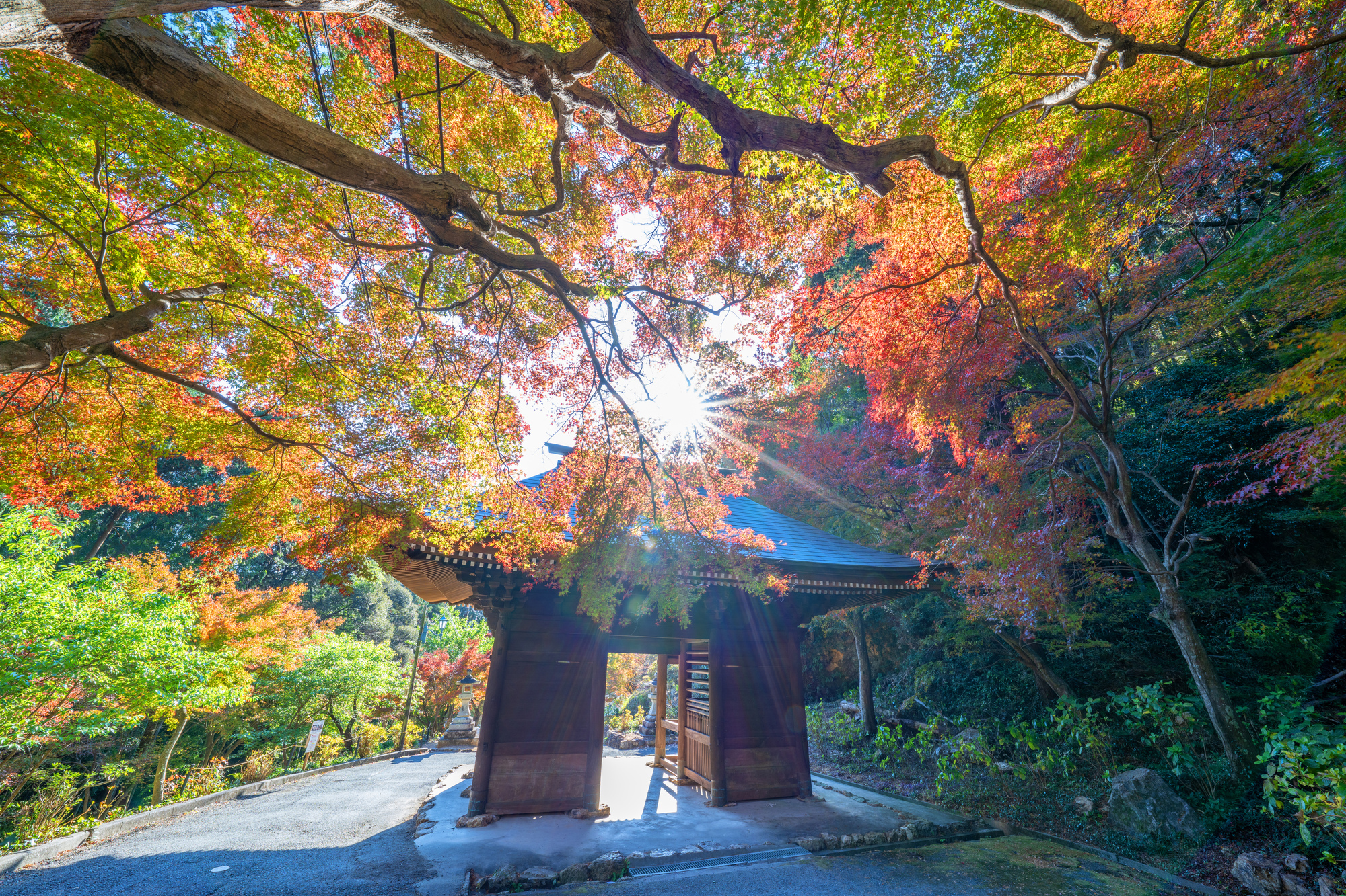 普門寺