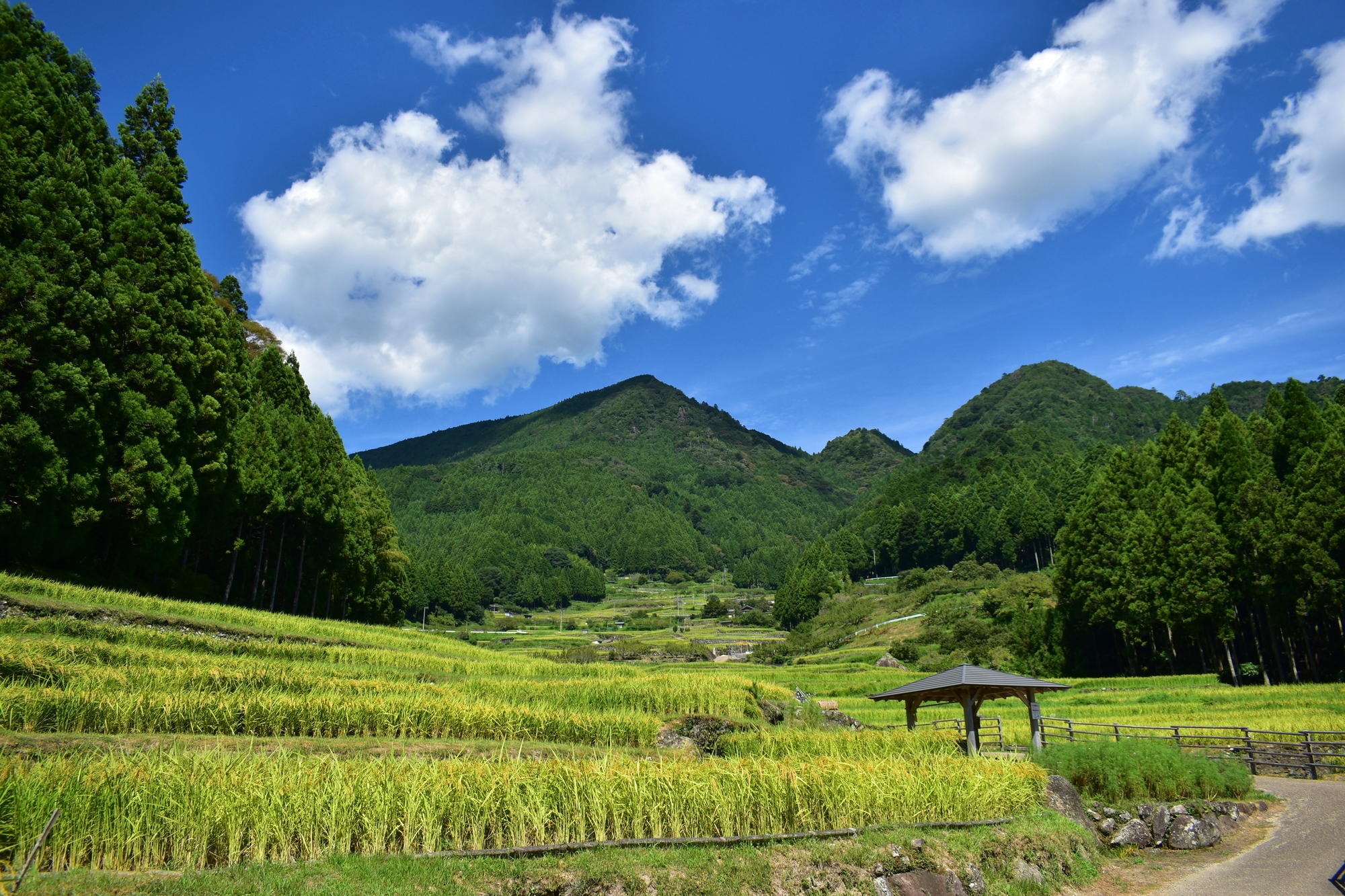 ふるさと納税_新城