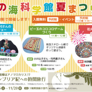 生命の海科学館夏祭り