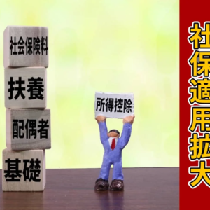 社保適用拡大_扶養の仕組み