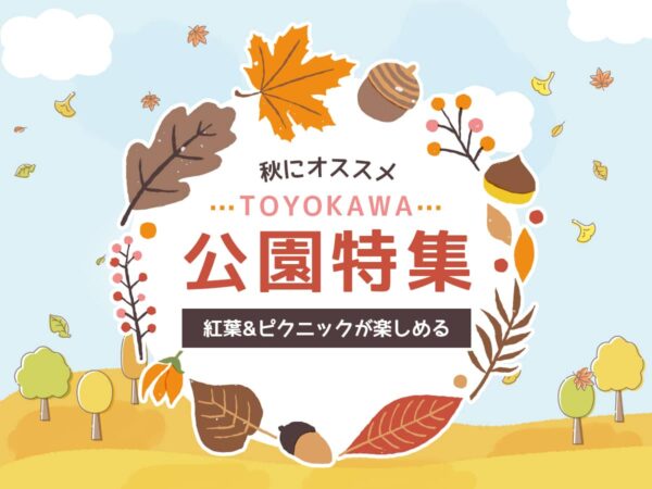 豊川市公園_ピクニック紅葉