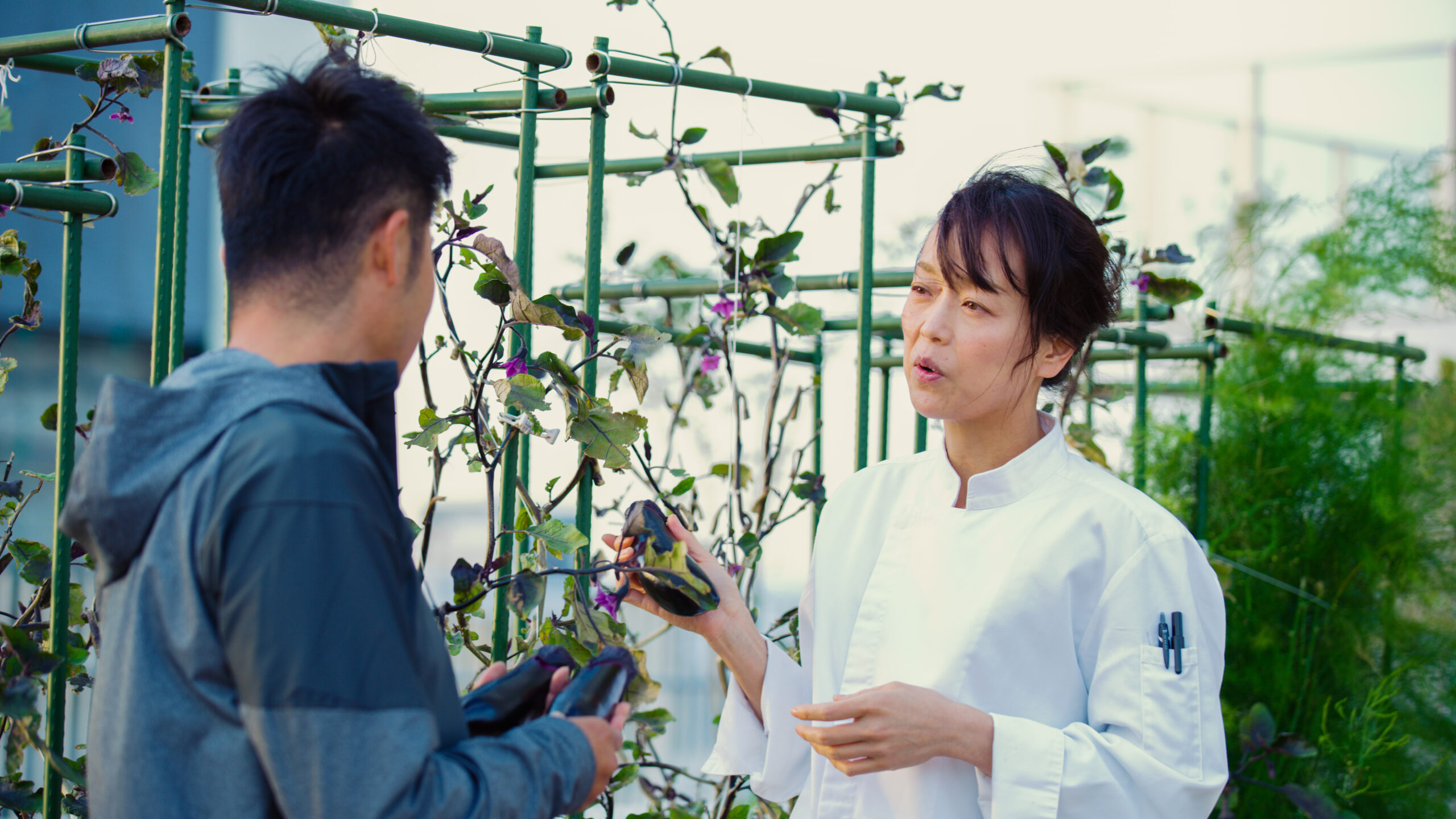 エムキャンパス_屋上農園2