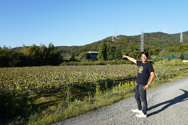 豊橋ワイン_チロルの農園