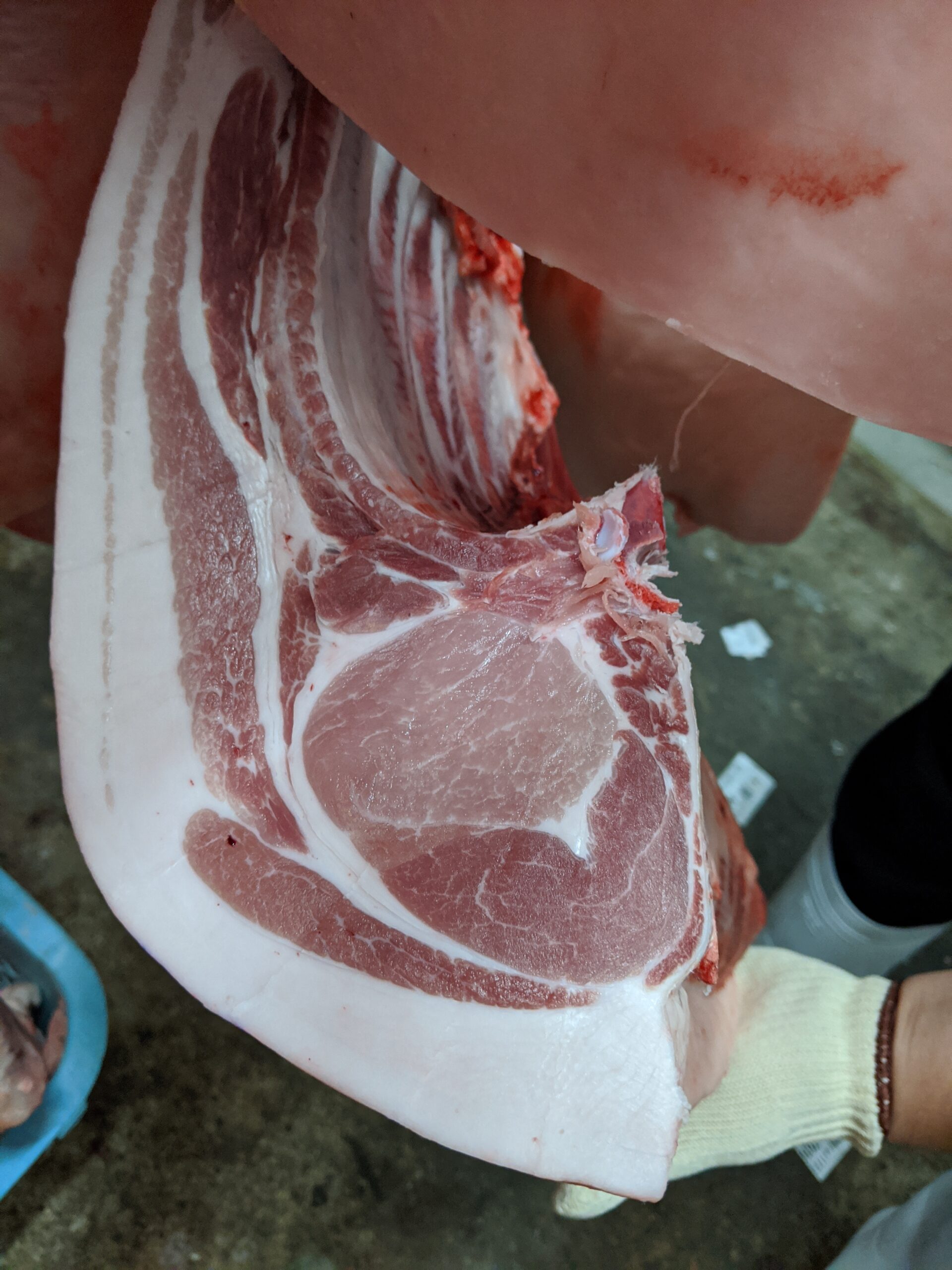 環境テクシス_雪乃醸