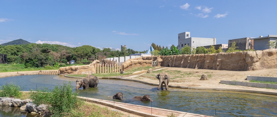 共働き子育てしやすい街_のんほいパーク