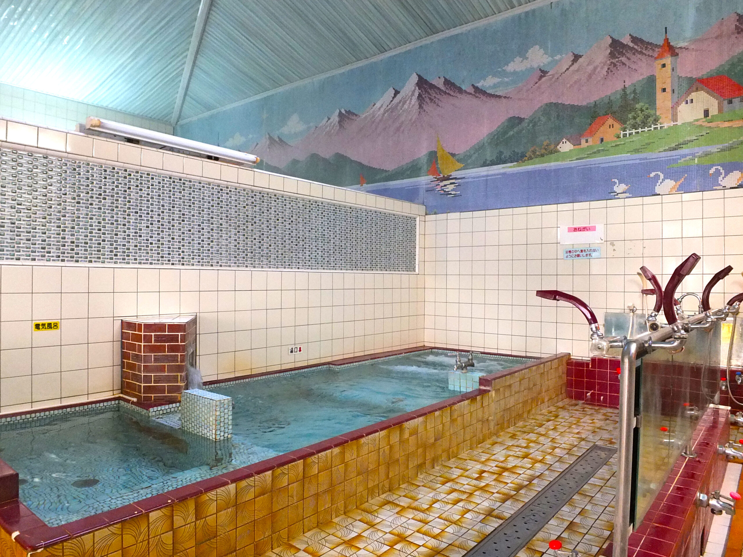 豊橋銭湯_にんじん湯浴室