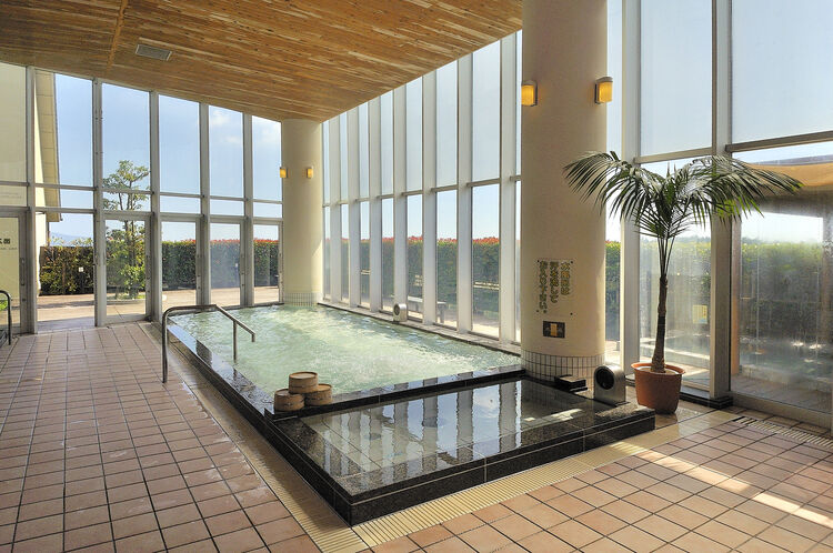 豊川銭湯_本宮の湯浴室