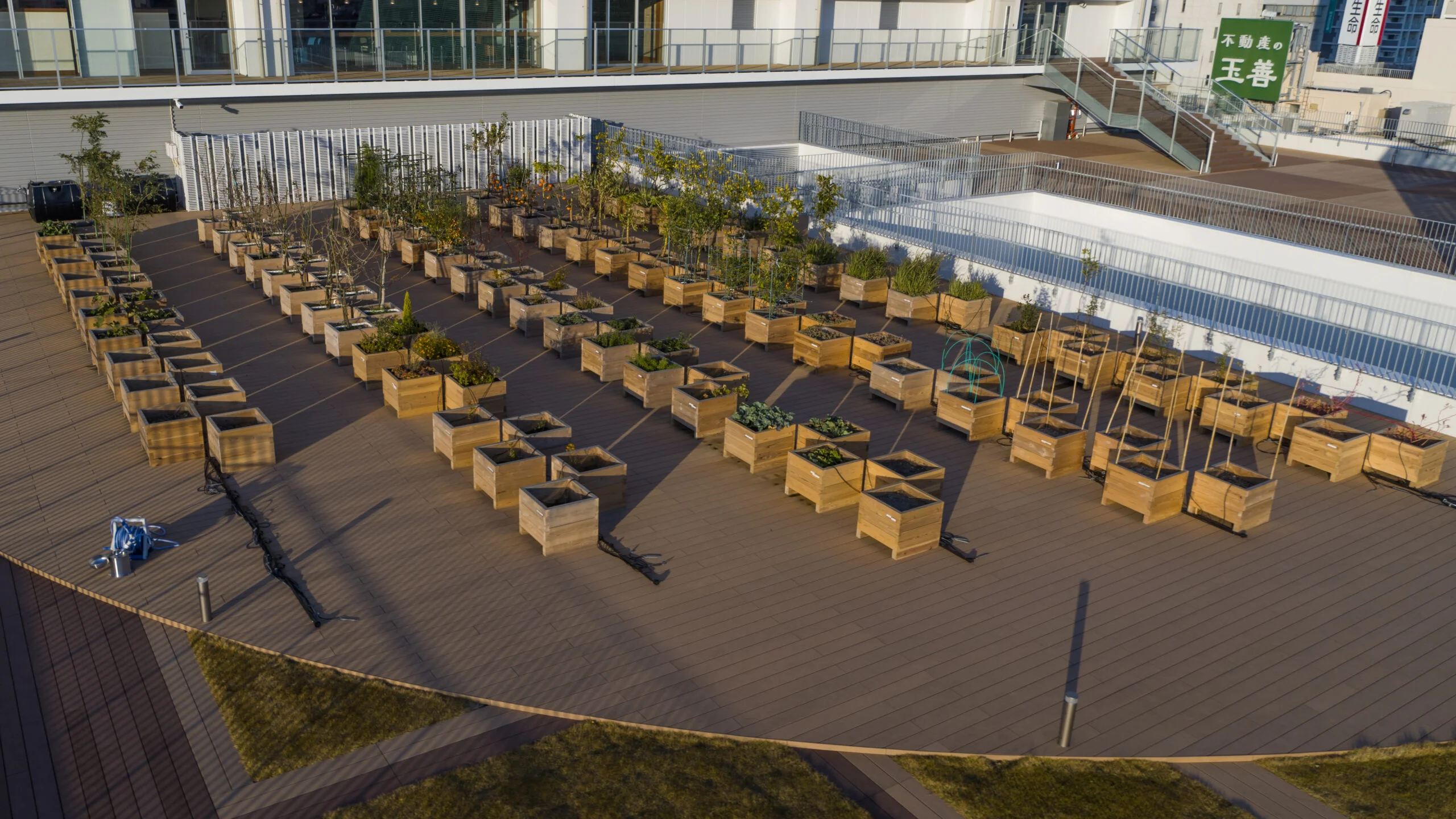 ファーマーズコレクション_屋上農園