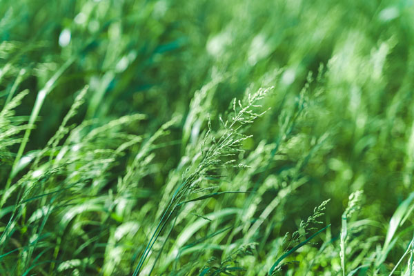 豊橋対談記事_風