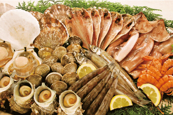 2023いちご狩り_蒲郡オレンジパーク