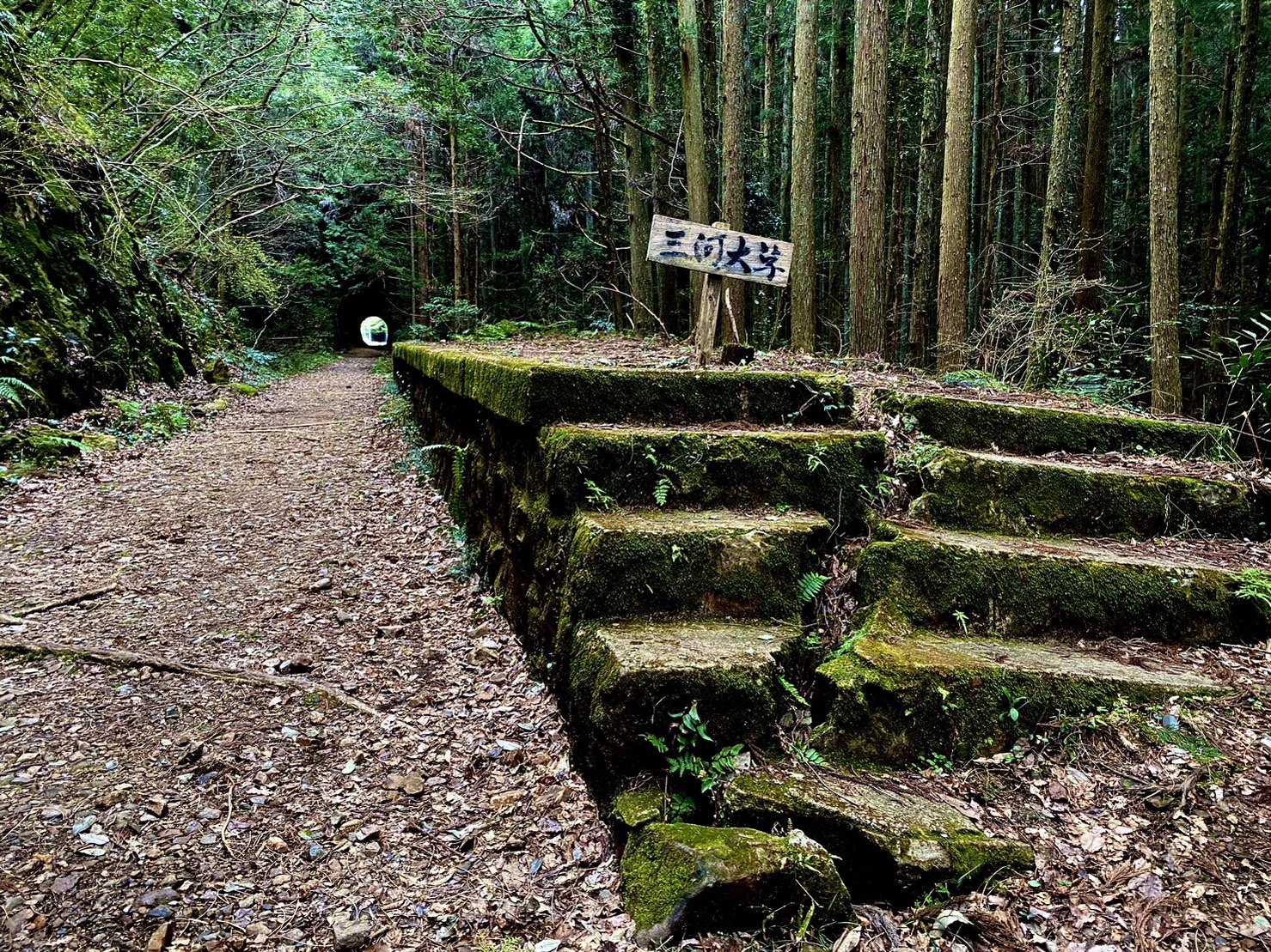 三河大草駅跡地