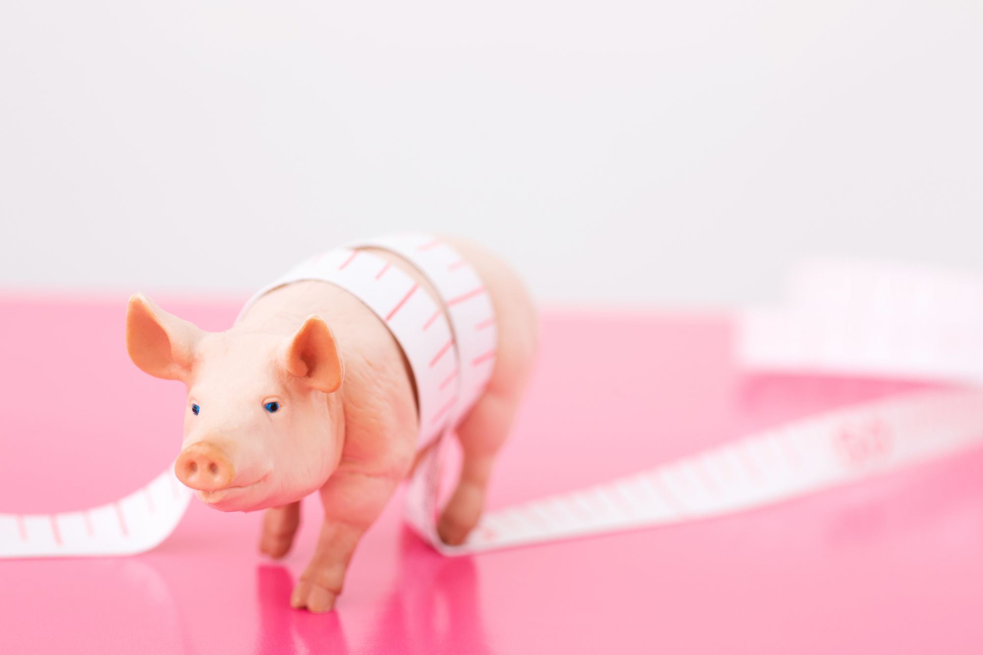 体脂肪イメージ