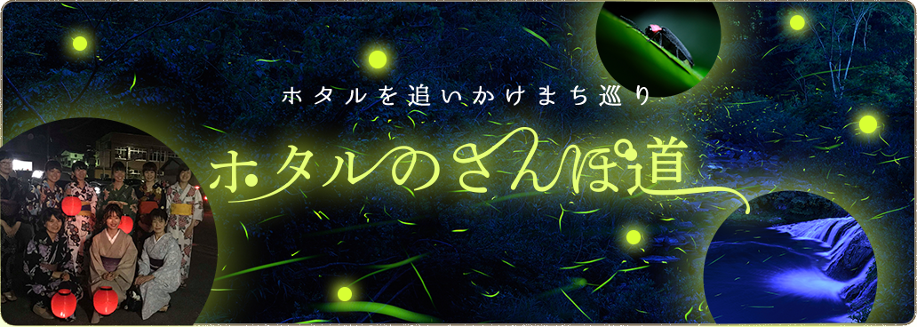 ホタルのさんぽ道