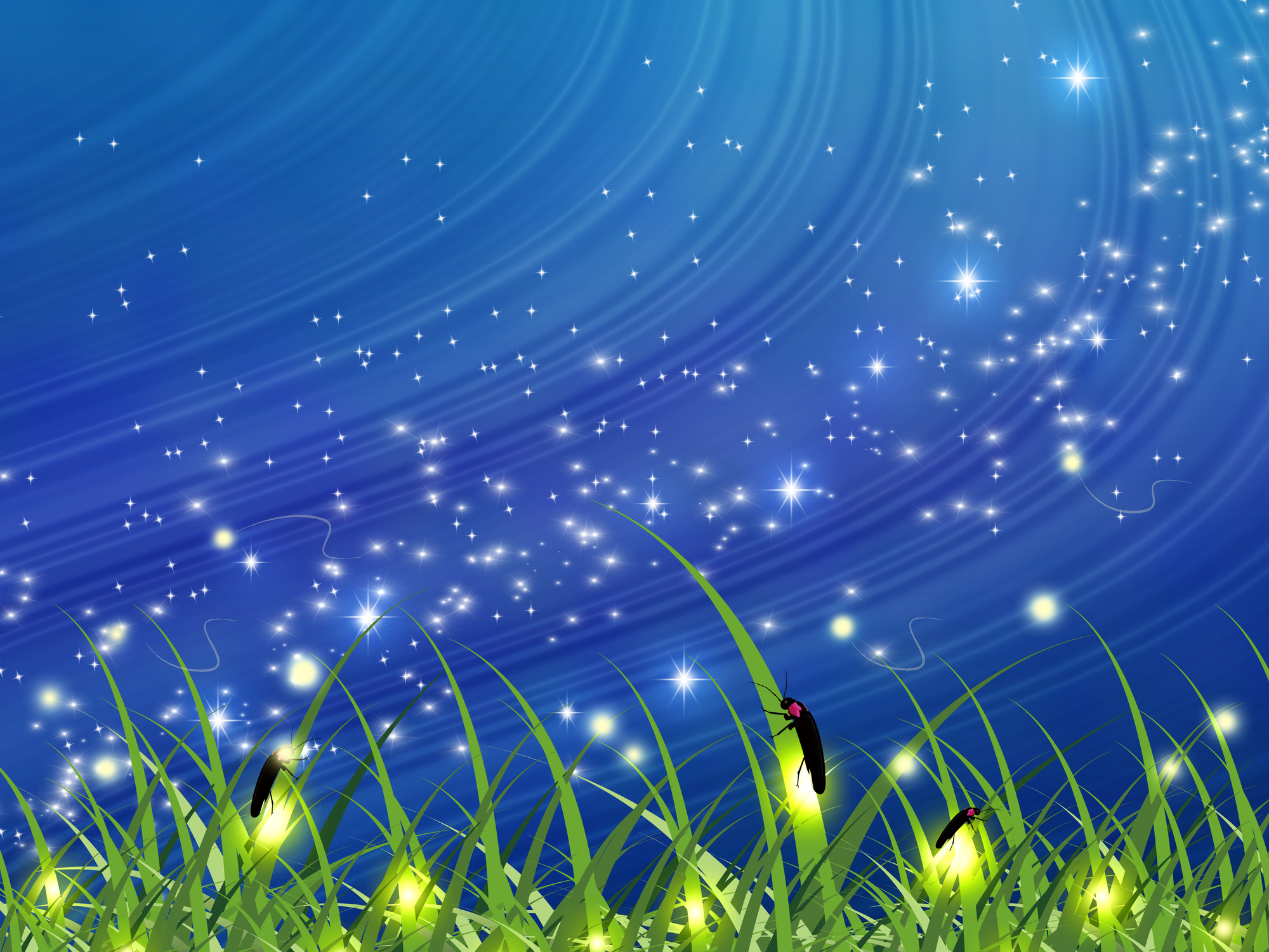 ホタル_イラスト