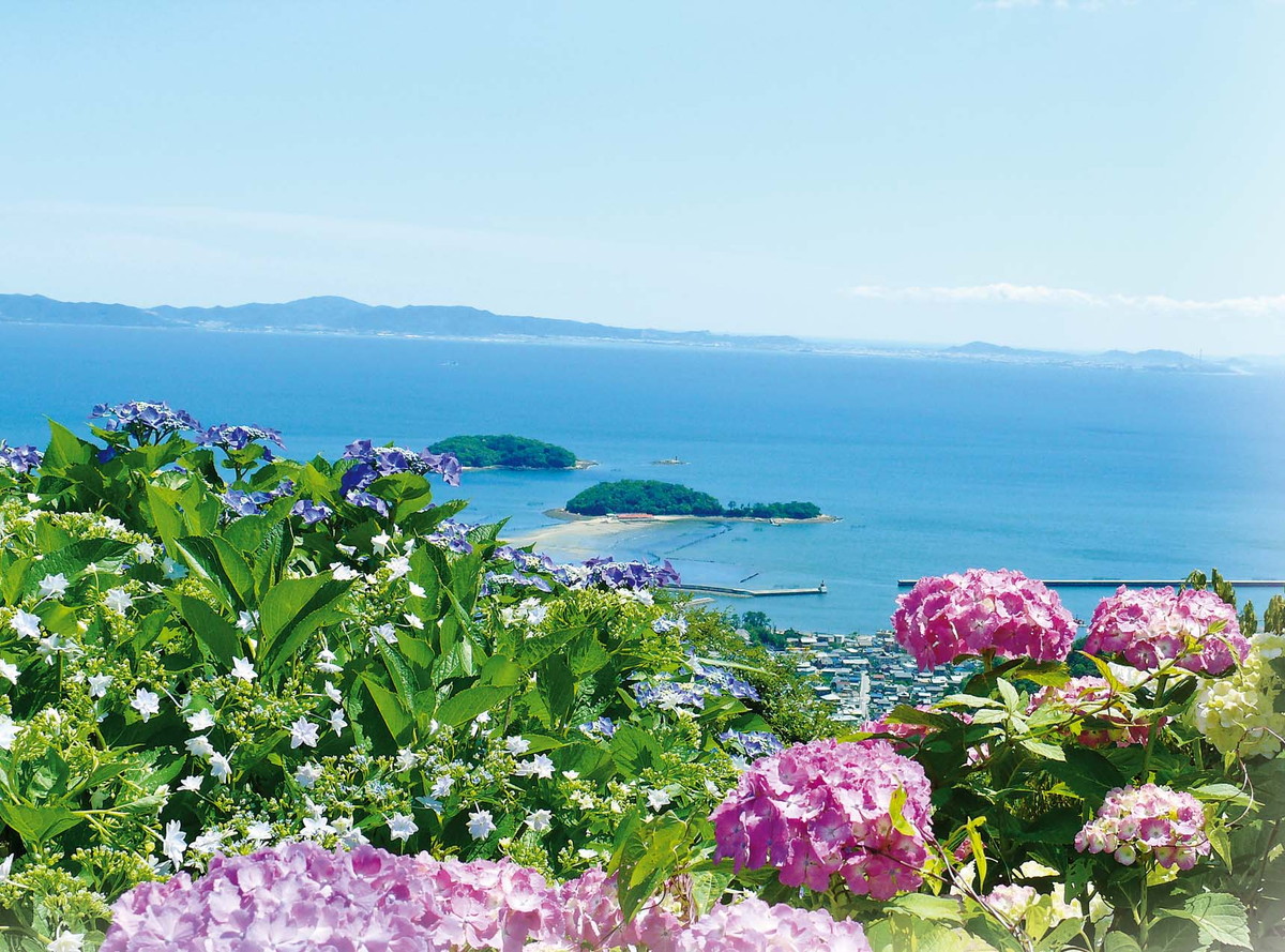 三ヶ根山スカイライン