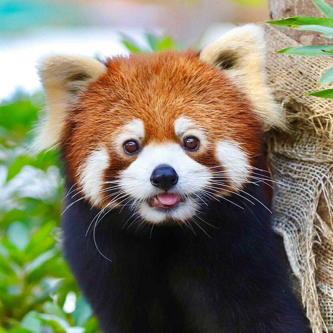 のんほいパーク