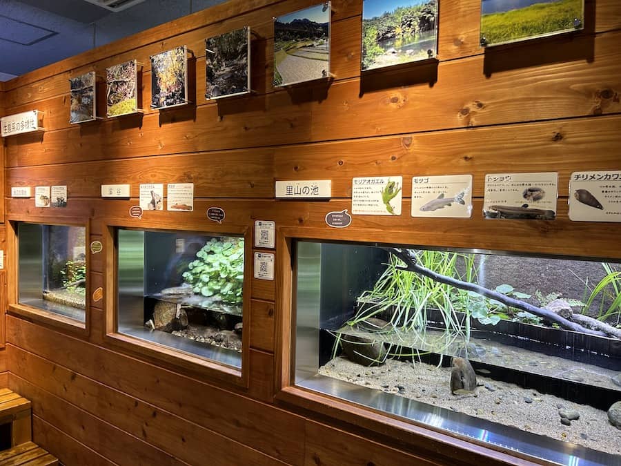 2023夏休み宿題_ぎょぎょランド見学