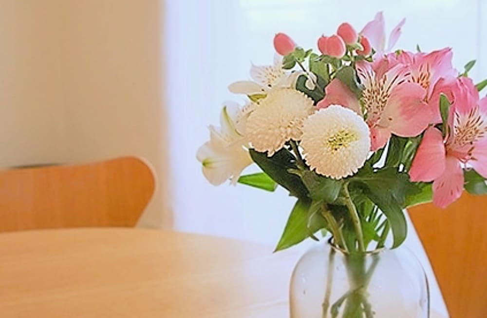 タハナ使用イメージ