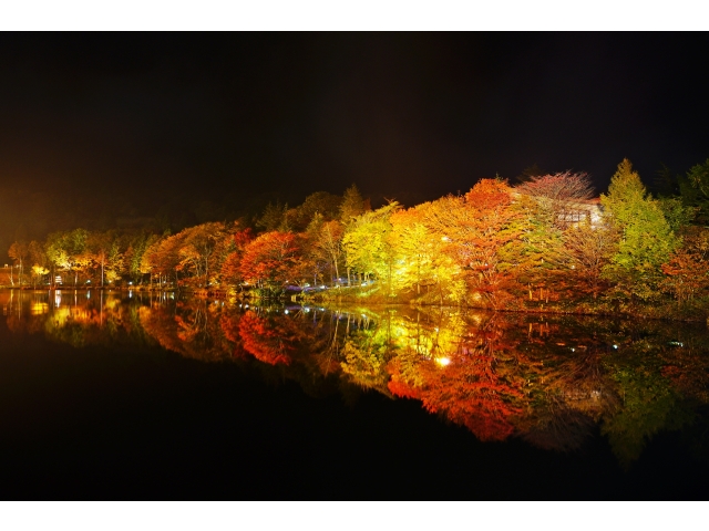 茶臼山高原まつりライトアップ