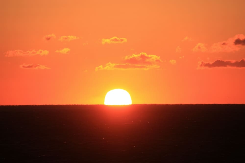 伊勢湾フェリー初日の出グルーズ