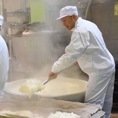 食品製造業_福井酒造の求人