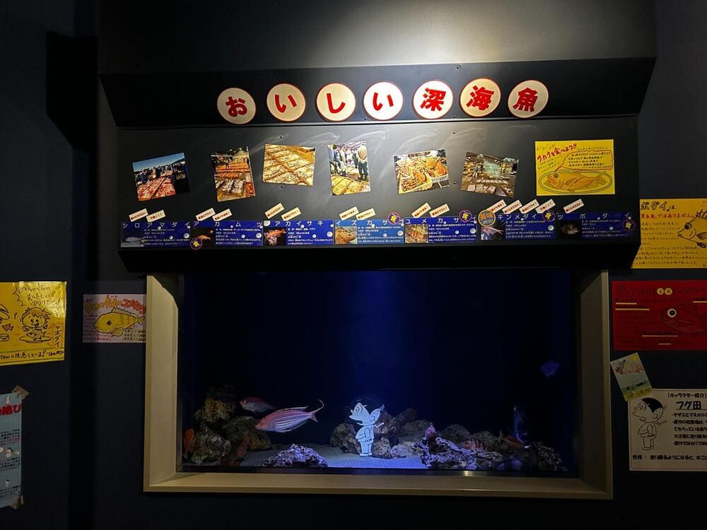 竹島水族館_サザエさんコラボ