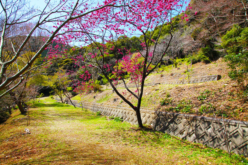 滝頭公園キャンプ場