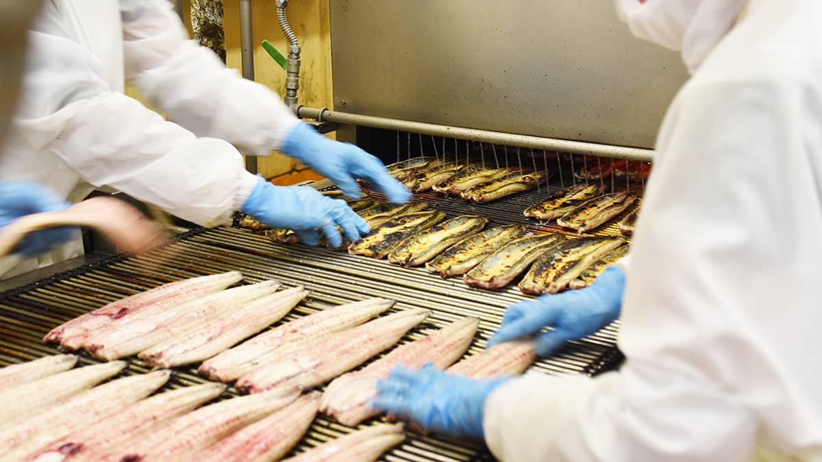 株式会社カネナカ_老舗うなぎ蒲焼工場