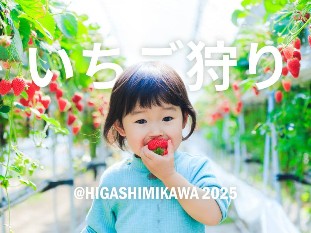 愛知いちご狩りスポット2025