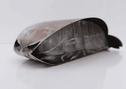 竹島水族館リニューアル_グソクムシ煎餅